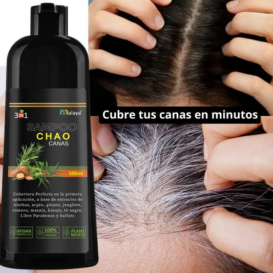 Shampoo Chao Canas™